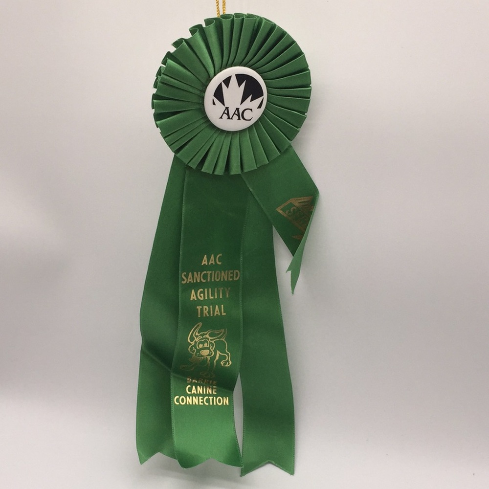 Second Prize Dog Show Award Ribbon Barrie Canine Connection Competition